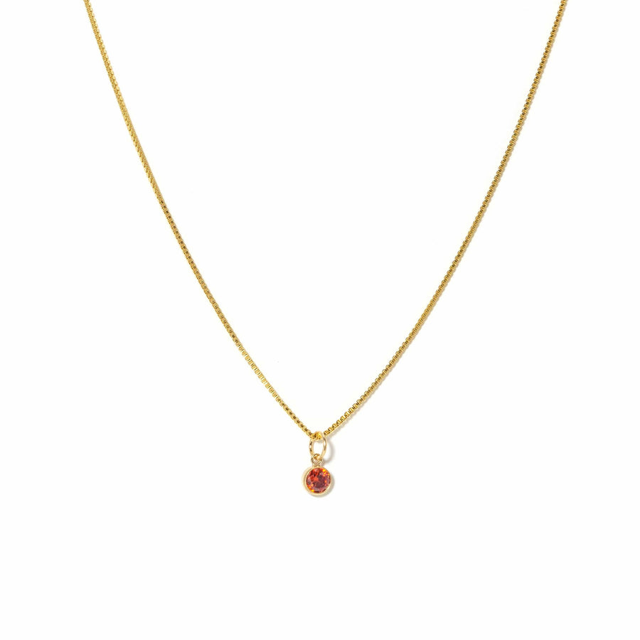 January Birthstone Gold-Filled Necklace