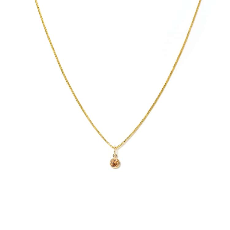 November Birthstone Gold-Filled Necklace