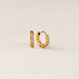 Evie 10mm Huggie Hoop Earrings