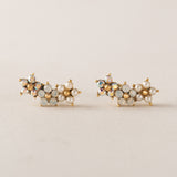 Floral Climber Earrings