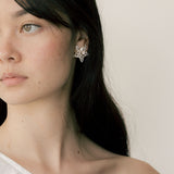 Debut Star Stud Earrings