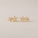 Lily Climber Earrings