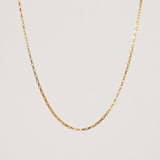 Scout Chain Necklace