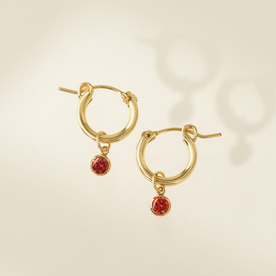 January Birthstone Gold-Filled Hoop Earrings