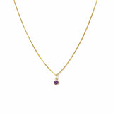 February Birthstone Gold-Filled Necklace