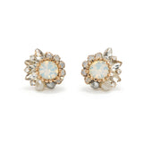 Amelia Crystal Post Earrings