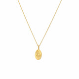 December Birth Flower Pendant Necklace