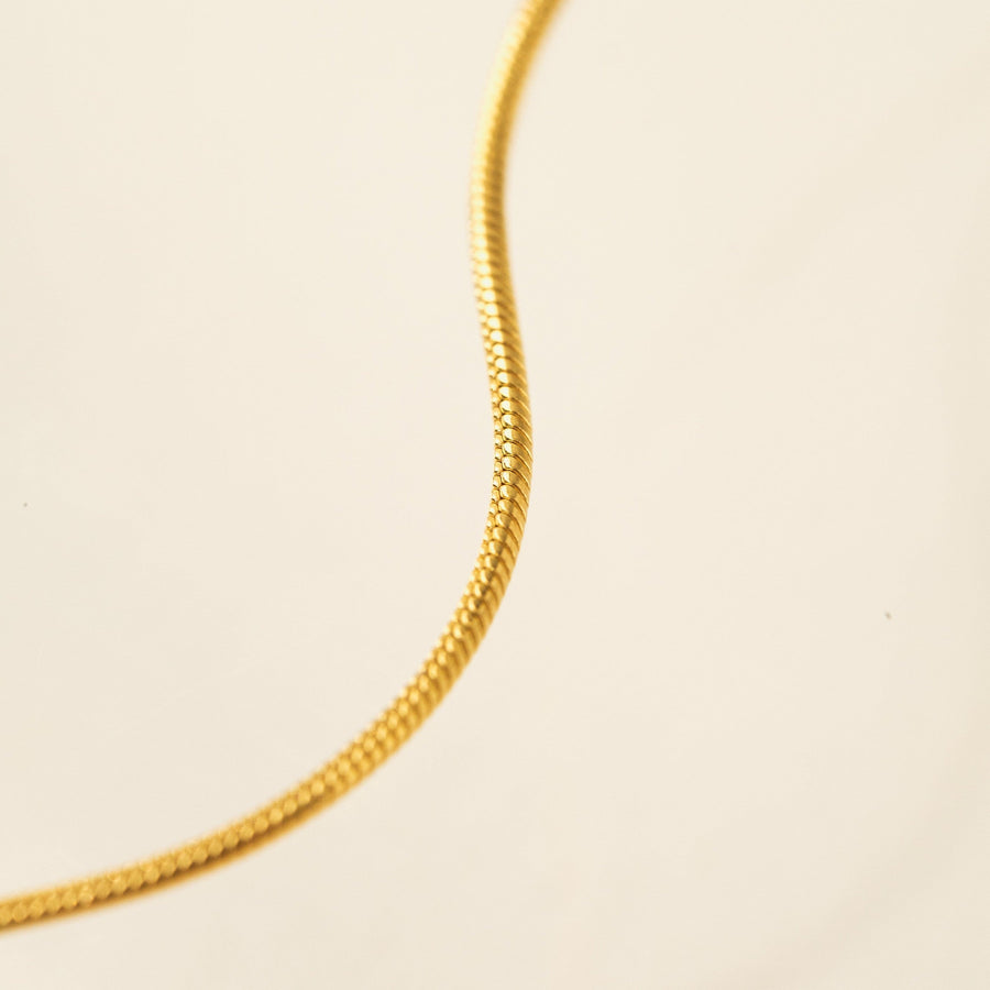 Snake Chain Gold-Filled Necklace